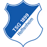 Escudo do 1899 Hoffenheim