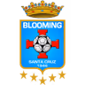 Escudo do Blooming